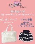 画像2: 【5/初旬発売開始】【ぽこぽこバッグorフリル巾着の選べる編み図付き!!】POPでかわいいテープヤーン♪　Mignon(ミニョン) (2)