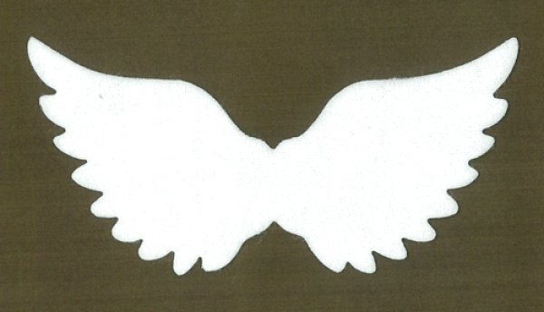 画像1: 天使の羽根 (1)